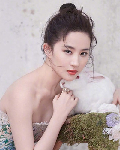刘亦菲个人图片